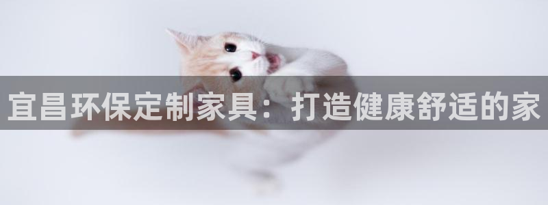杏耀软件