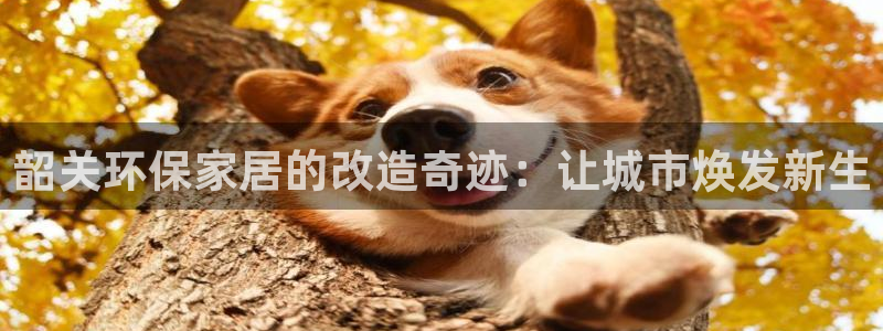 杏耀平台官网下载