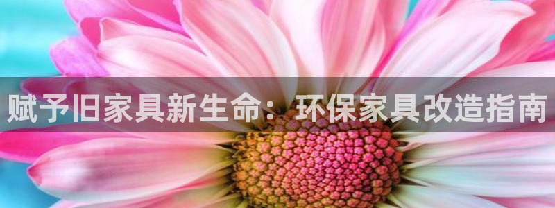 杏耀登陆线路