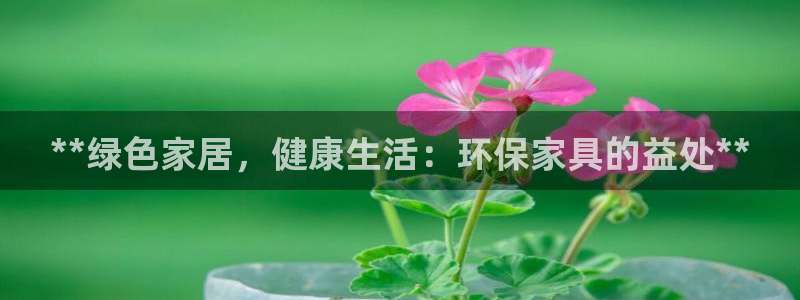 杏耀登陆网站