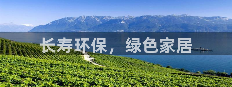 杏耀代理日工资多少