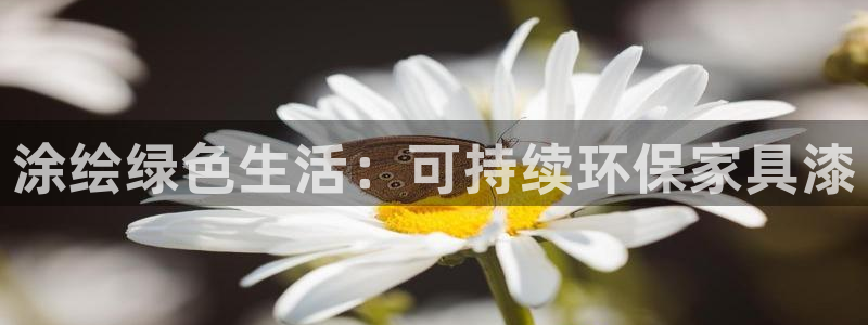 杏耀平台代理怎么赚钱的