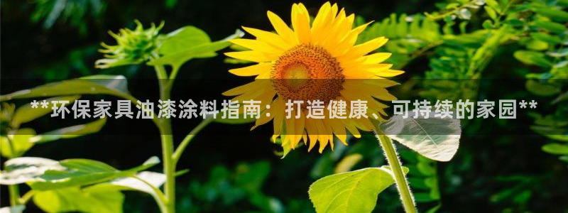 杏耀总代理