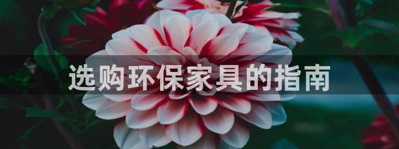 杏耀平台线路