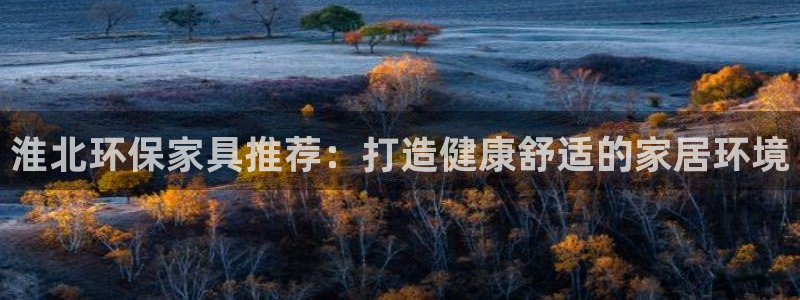 杏耀平台的专用通道