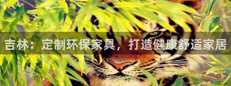 杏耀登入官网