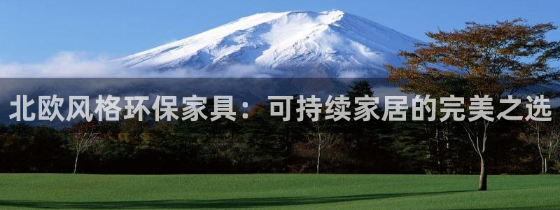 杏耀平台官网登录：北欧风格环保家具：可持续家居的完美之选