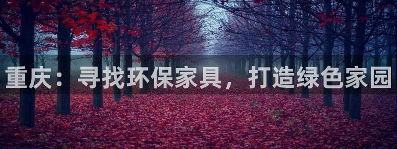 杏耀是什么平台