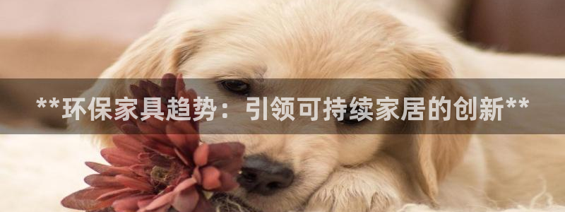 杏耀平台怎么样