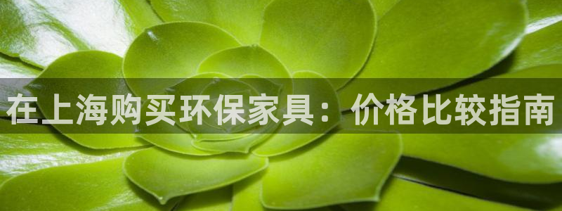 杏耀平台怎样