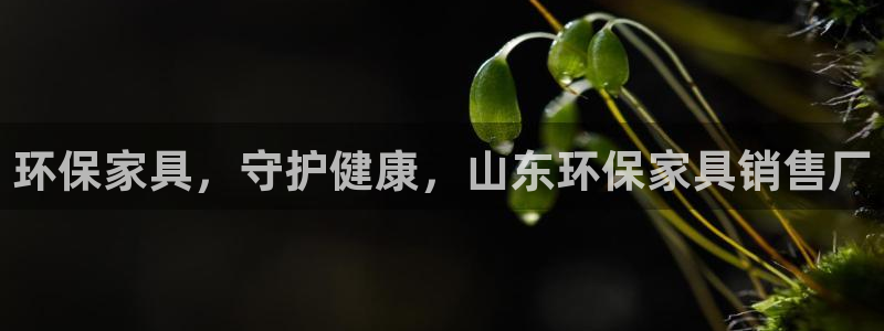 杏耀平台的专用通道