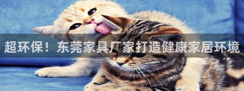 杏耀平台官方网站下载