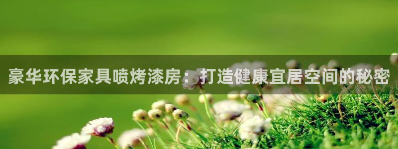 杏耀登陆电脑线路测速：豪华环保家具喷烤漆房：打造健康宜居空间