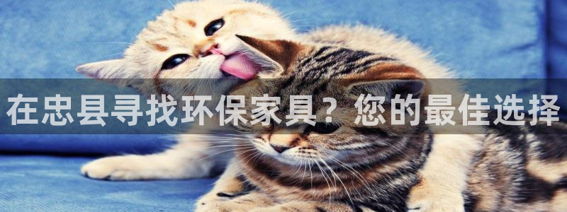 杏耀平台官方登录：在忠县寻找环保家具？您的最佳选择