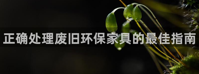 杏耀客户端登录：正确处理废旧环保家具的最佳指南