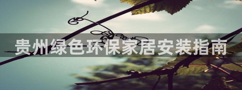 杏耀平台线路测速