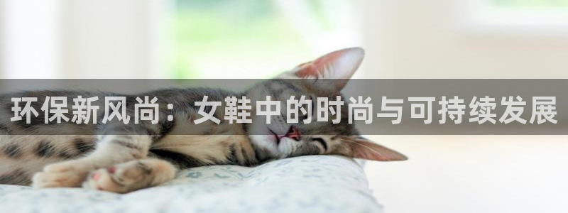 杏耀平台到底能玩吗：环保新风尚：女鞋中的时尚与可持续发展