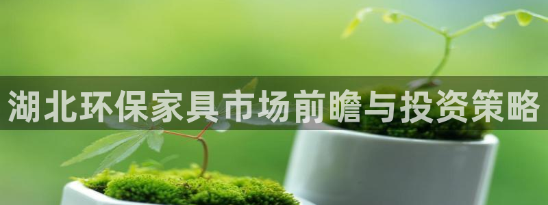 杏耀网址官网：湖北环保家具市场前瞻与投资策略