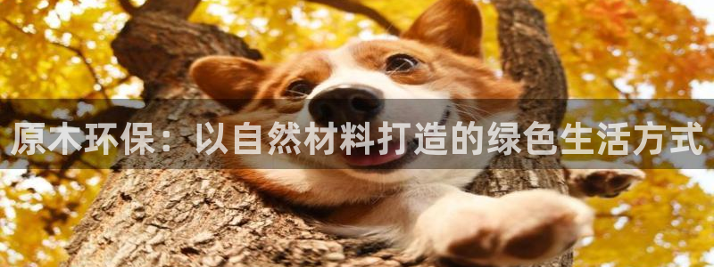 杏耀代理日工资多少：原木环保：以自然材料打造的绿色生活方式