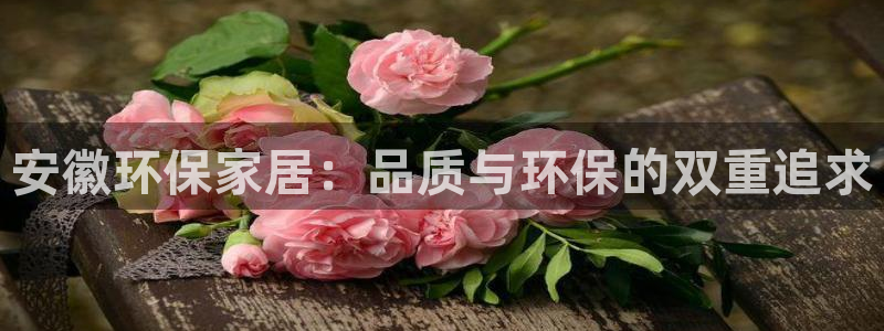 杏耀代理注册开户：安徽环保家居：品质与环保的双重追求