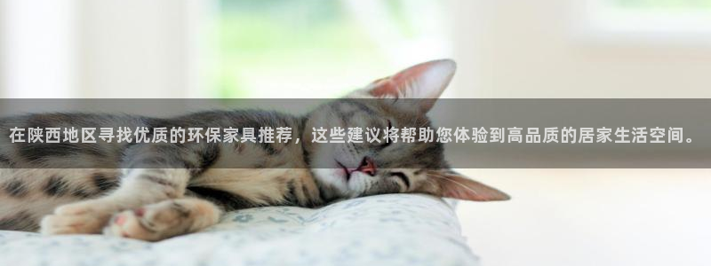 杏耀平台登录网址：在陕西地区寻找优质的环保家具推荐，这些建议