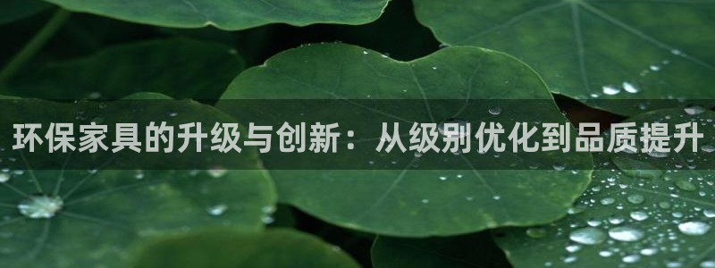 杏耀平台怎样