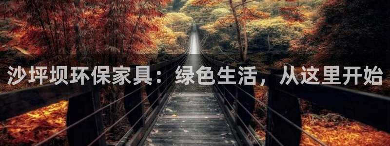 杏耀平台还在吗：沙坪坝环保家具：绿色生活，从这里开始
