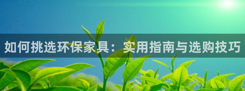 杏耀平台代理注册：如何挑选环保家具：实用指南与选购技巧