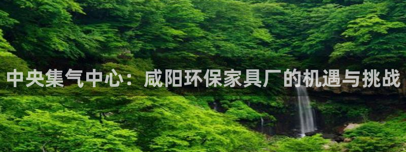 杏耀平台网页版：中央集气中心：咸阳环保家具厂的机遇与挑战