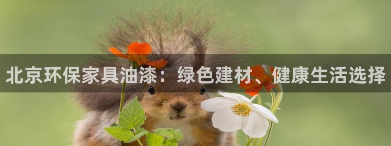 杏耀登入测速：北京环保家具油漆：绿色建材、健康生活选择