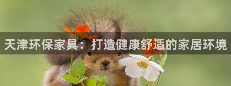 杏耀平台首页：天津环保家具：打造健康舒适的家居环境