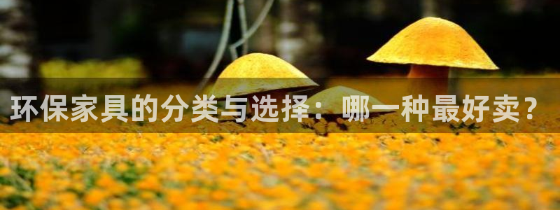 杏耀测速娱乐：环保家具的分类与选择：哪一种最好卖？