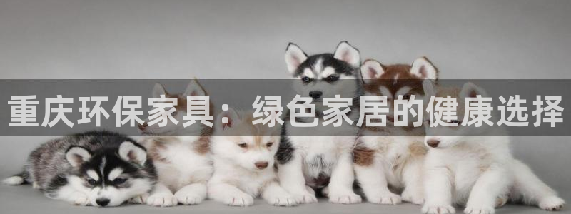 杏耀是什么平台