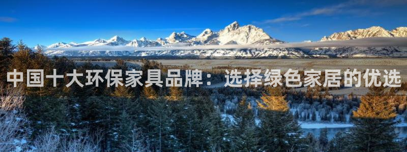 杏耀注册登录平台：中国十大环保家具品牌：选择绿色家居的优选